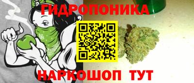 гидра Лесосибирск