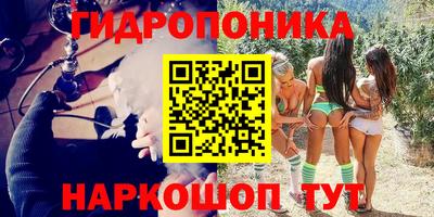 гидра Лесосибирск