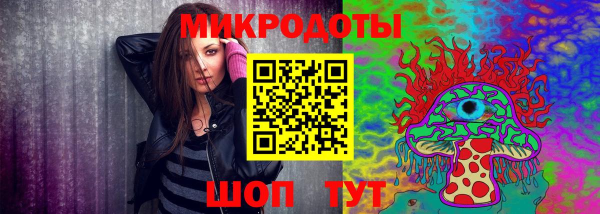 Галлюциногенные грибы Psilocybine cubensis Десногорск